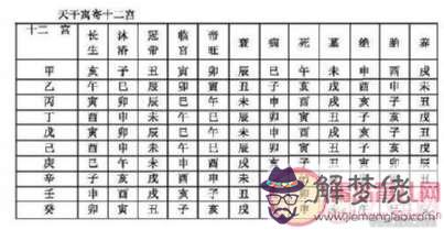 八字四柱官是什麼意思