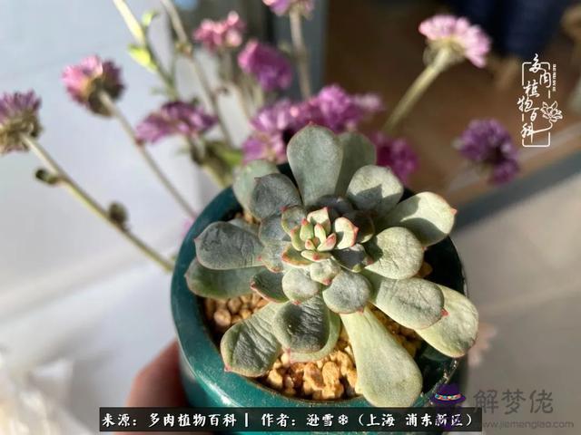 命運使然后面是什麼意思