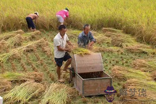 022年老黃歷日歷，中華民俗老黃歷"