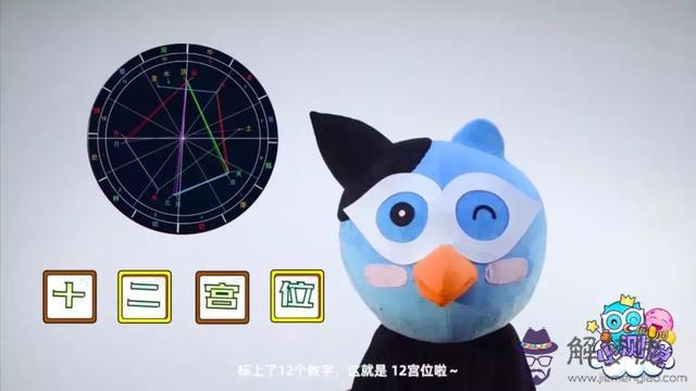 哪個app測星盤準，星盤app哪個比較好