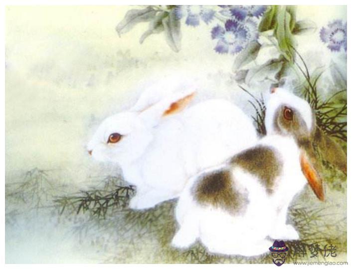 3、兔男馬女婚配小兇怎樣:兔男和馬女相配嗎