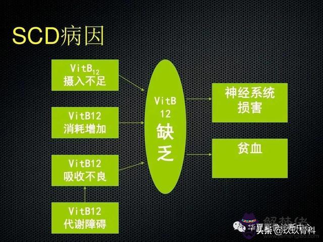 脊髓亞急性聯合變性八字征