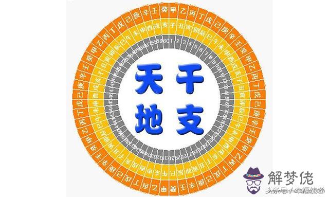 八字與五行和名字的關系