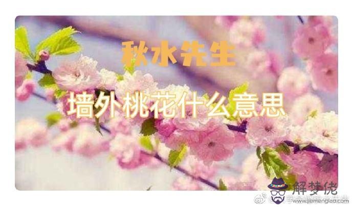 查詢八字的墻內桃花