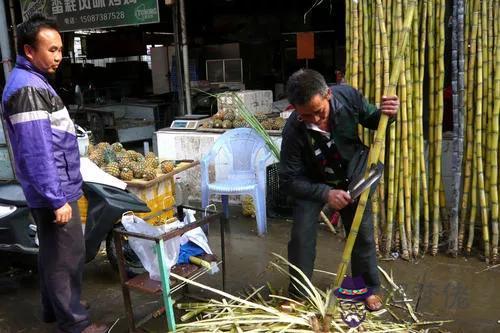 請大師分析一下我的八字與命運