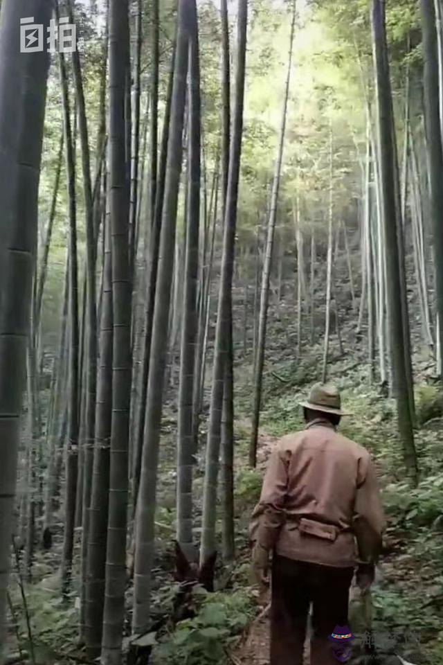 1999年三月十四生辰八字