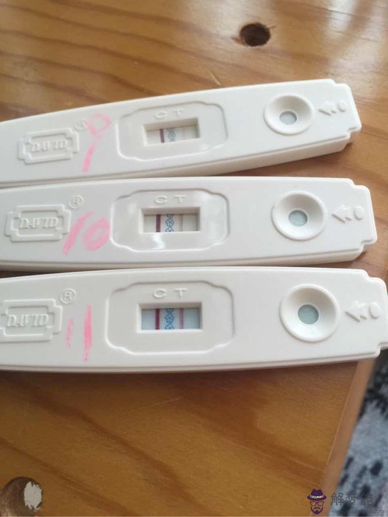囊胚預產期計算器在線計算：怎麼算懷孕多少天？