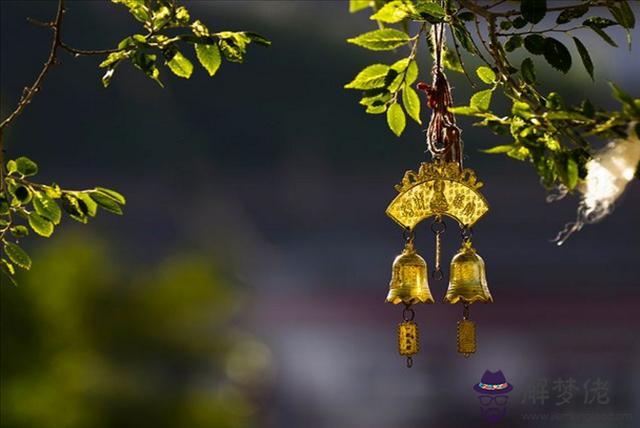 排八字不知道幾點生的怎麼辦