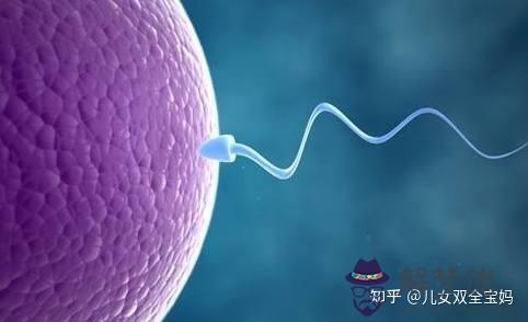 2、生男孩備孕前準備科學方法:想生男孩準備什麼比較有用？