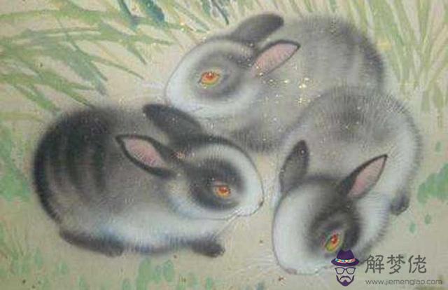 1、屬兔的和什麼屬相最般配:屬兔的男人和什麼屬相最般配