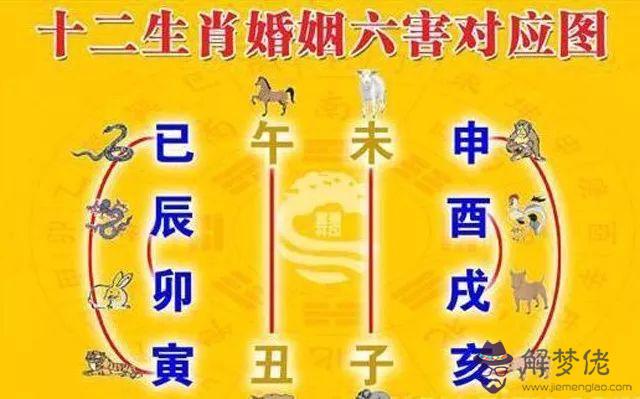 6、你們相信屬相相克嗎:相信婚姻屬相相配嗎?