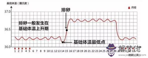 1、女生的**時間段:哪個時間段是女性懷孕的**時期？