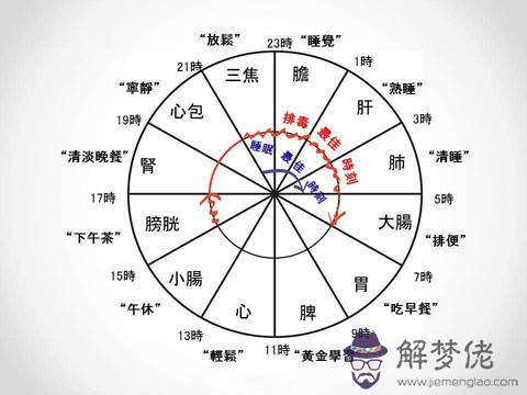 1、十二時辰對照表口訣:天干地支背口訣24個字是什麼？