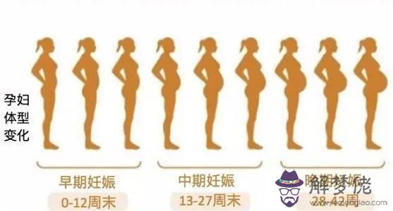 1、一年中幾月份備孕到懷孕比較好:一年中幾月懷孕，對孩子更好，哪4點值得備孕家長借鑒？