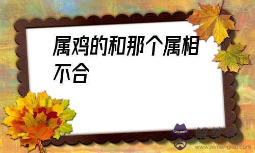 屬雞的和那個屬相不合，牛跟那個屬相不合