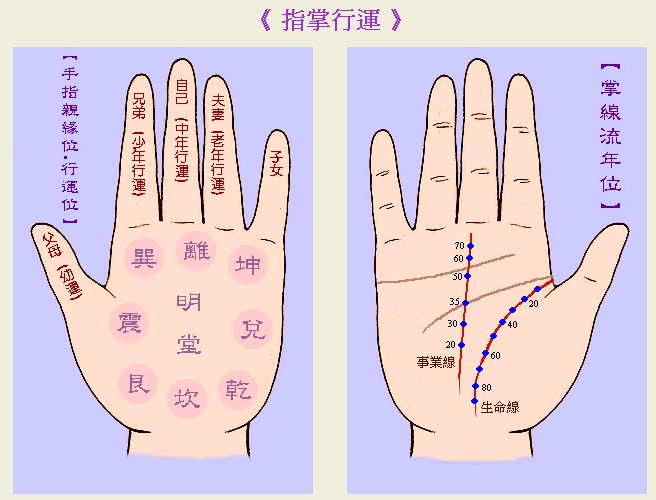 7、免費拍照看手相算命在線:在線看手相算命