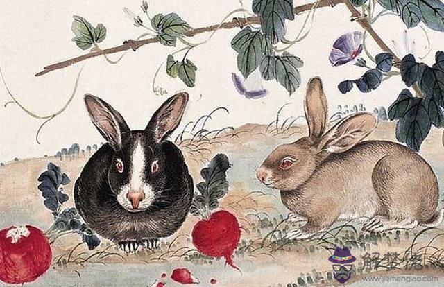 2、屬兔的和什麼屬相相克:屬兔的和什麼屬相相沖