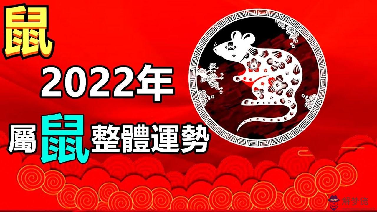 1、年屬鼠男今年運勢:年屬鼠年運勢及運程