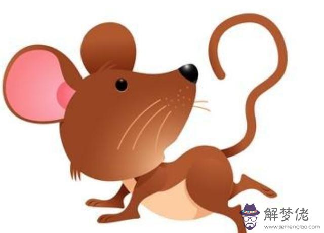 1、年屬鼠的今年多少歲了:十二生肖屬鼠的今年多少歲？