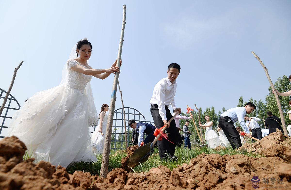 2、年屬馬31歲婚姻:年屬馬屬馬人的婚姻及命運線