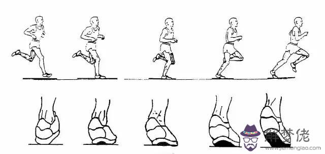 狗缺少運動外八字矯正嗎