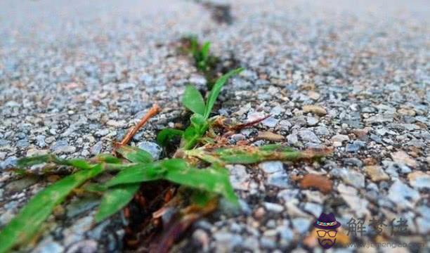 測試最近的運勢，查一查我今年的運氣