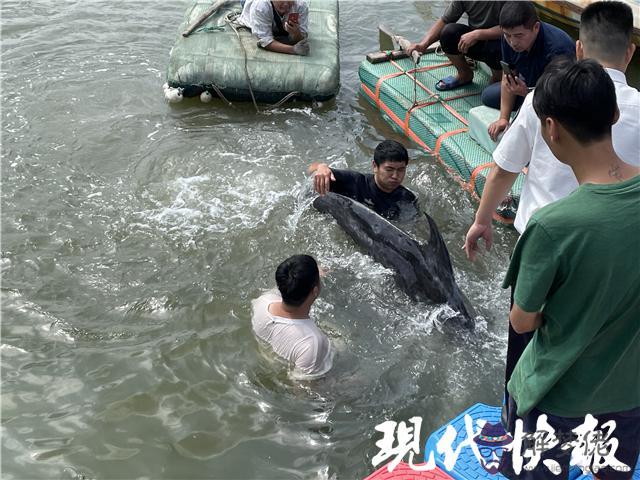 3、大海水命與桑松木命婚配怎樣:桑松木命和大溪水命能配嗎