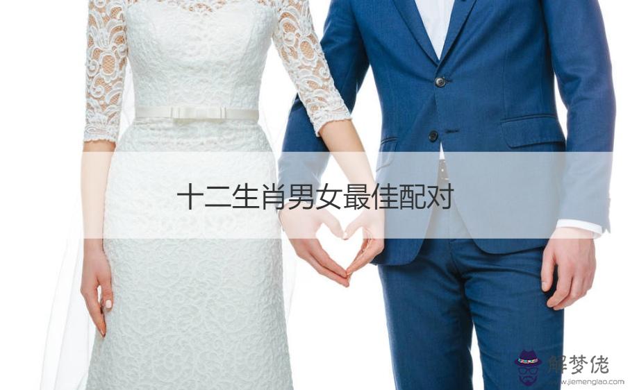 1、十二生肖**婚配虎和兔:屬虎的和屬兔合不合