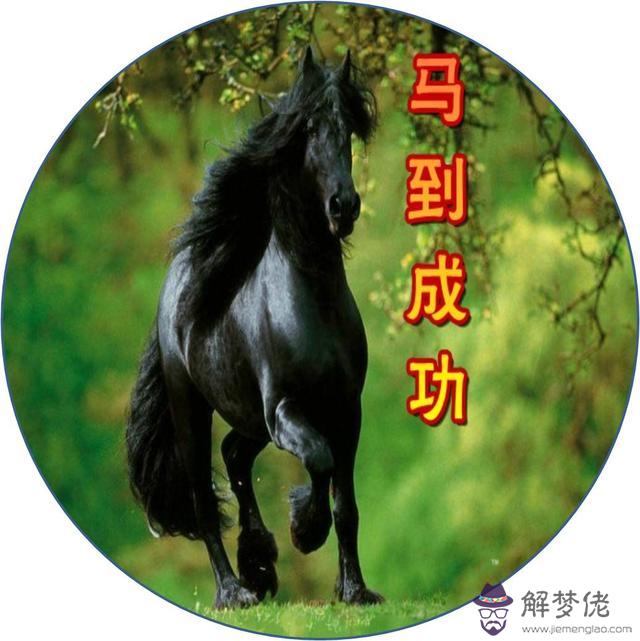 今年屬相是龍蛇馬的要轉發微信嗎