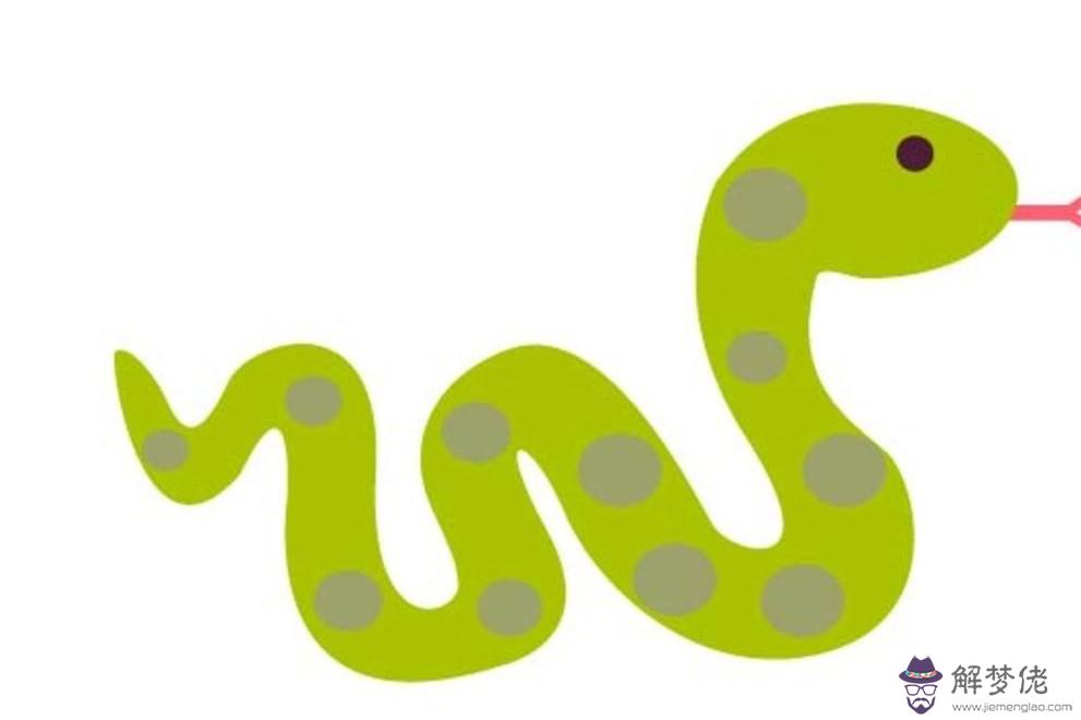 屬蛇的和什麼屬相合作比較好：屬蛇和屬蛇合伙做生意好嗎