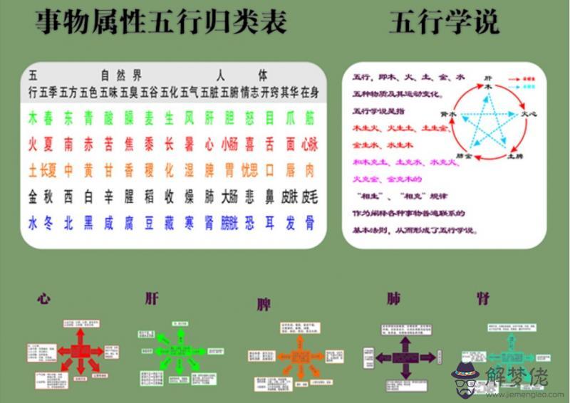 五臟六腑對應的五行：五臟的五臟與五行