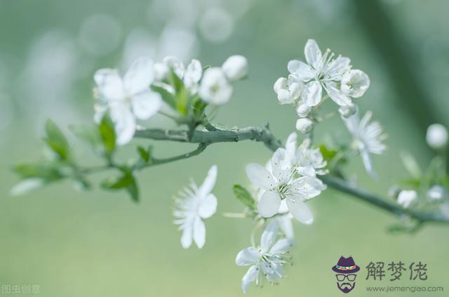 雙子座最明顯的特征，雙子的性格是什麼樣子的