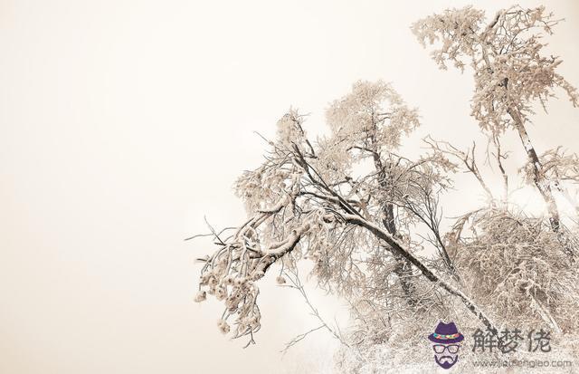 天秤座的智商高不高，天秤座的真實智商