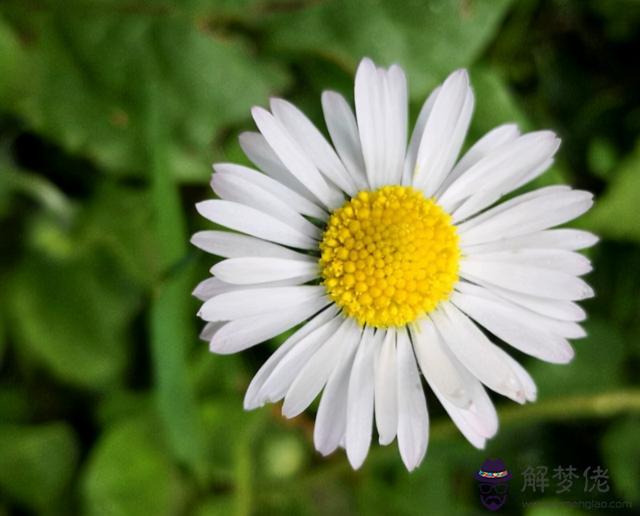 摩羯女和金牛女適合做閨蜜嗎，摩羯女太聰明了