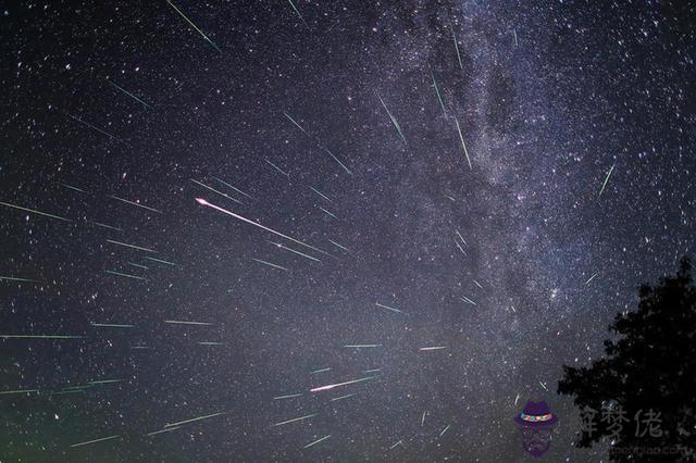 水瓶座流星雨在第幾名，水瓶座什麼排之一