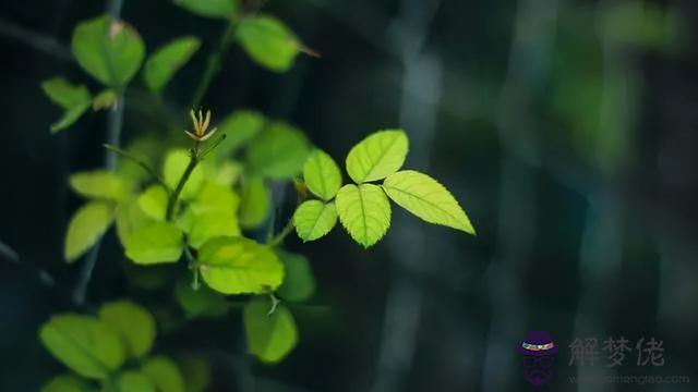 最懂巨蟹座的四個星座，巨蟹座的感情專控的星座