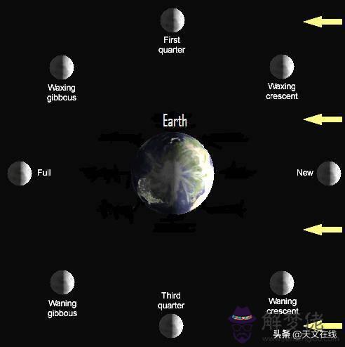 獅子座軒轅十四象征，十二星座專屬靈獸