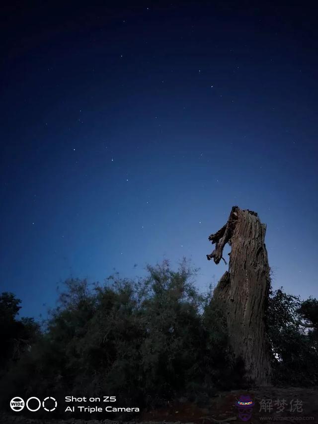 一般拍攝流星用什麼，看流星用什麼相機好