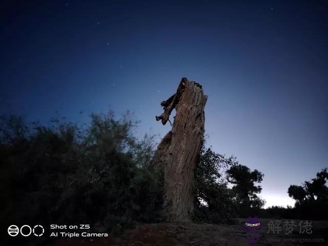 一般拍攝流星用什麼，看流星用什麼相機好