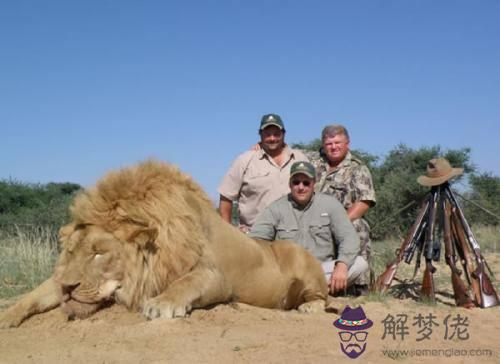 食人獅真實事件，察沃食認識時間詳細經過