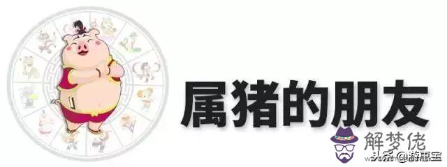 麥玲玲屬牛2022年運勢及運程，12生肖2022年運勢大全