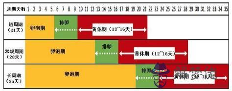 懷孕多少天怎麼算