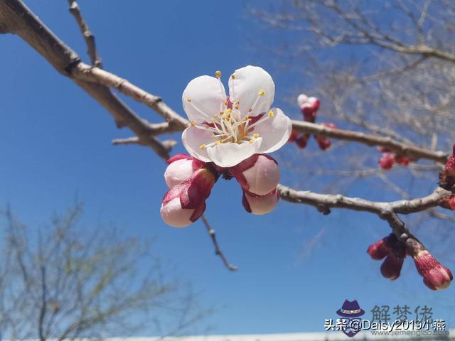 屬相和時辰犯沖能生孩子麼