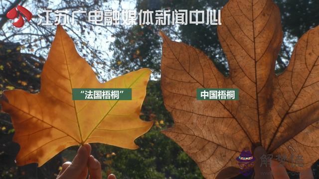 江蘇專業金屬相框價格