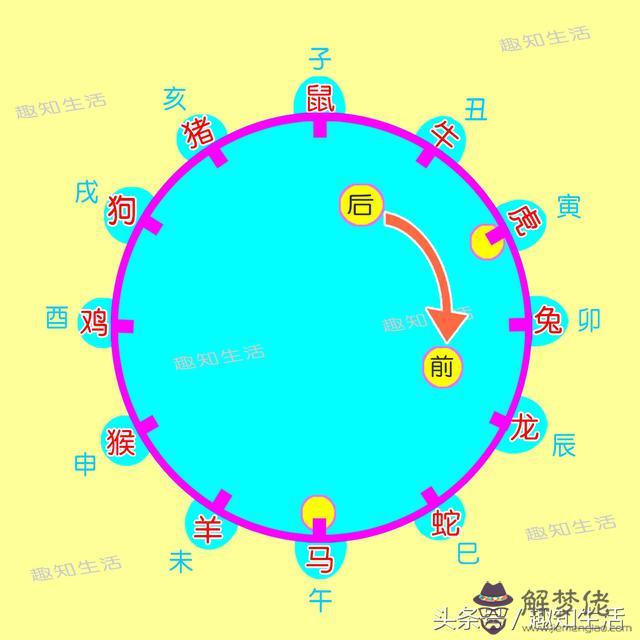 怎麼做能算出什麼屬相