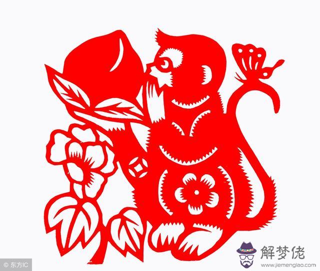 男蛇和女猴屬相合不合