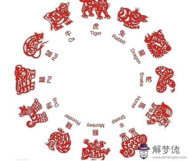 21歲和23歲的屬相合不合