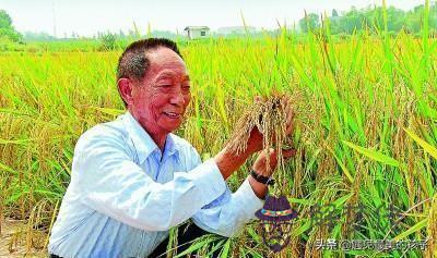 水稻之父袁隆平老先生的八字賞析