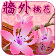 八字里沒有桃花怎麼辦