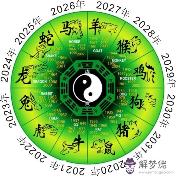 屬鼠人在年的運程：屬鼠的人年運程好不好？